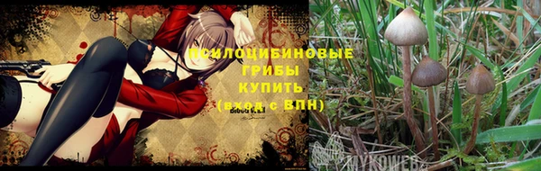 кокаин Алзамай