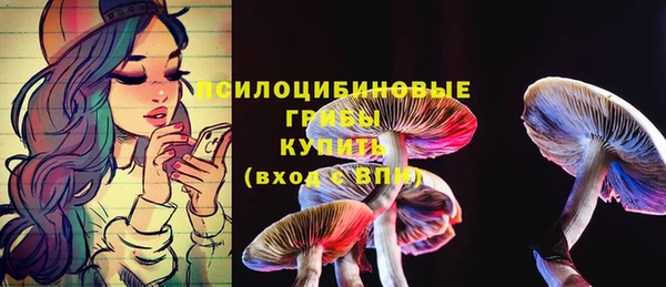 2c-b Алексеевка
